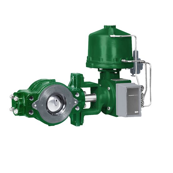 Fisher™ V250 Control Valve